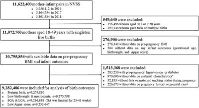 Maternal Pre-pregnancy Body Mass Index Categories and Infant Birth Outcomes: A Population-Based Study of 9 Million Mother–Infant Pairs